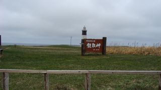 野趣あふれる景色