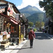 見た目はかなり大きめのタコ焼き