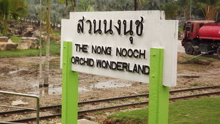 週末限定のパタヤ観光列車