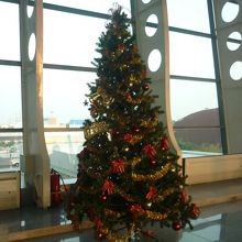 1月中旬でもクリスマスツリーが飾っていました。