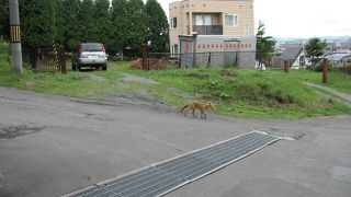日本酒ずきにおすすめ