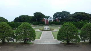 思ったより・・・