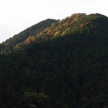 ホームからの紅葉