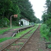 鉄道林が見もの