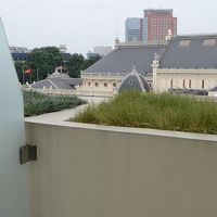 今回気になったのは、隣部屋とのベランダの仕切り。