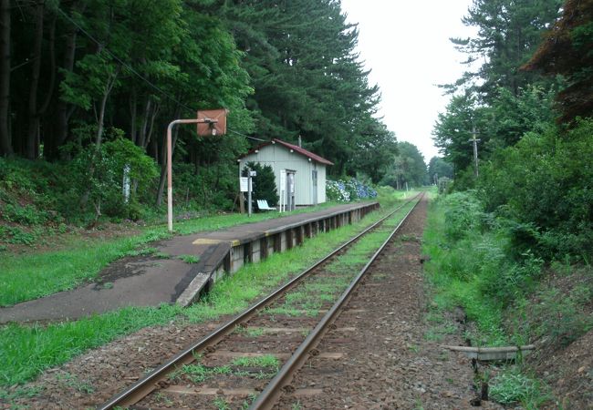 鉄道林が見もの