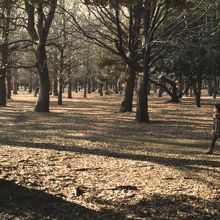 時間と場所によっては、人が少なくのんびり出来そうです。