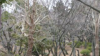 総合スポーツ施設公園