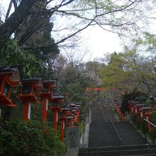 夜も見てみたいものです。