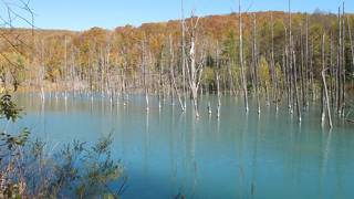 富良野美瑛に寄ったらぜひ＊