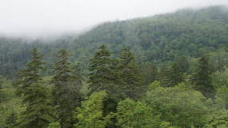 散策について丁寧な説明