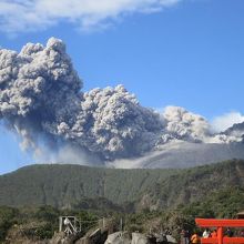 桜島、噴火しました！