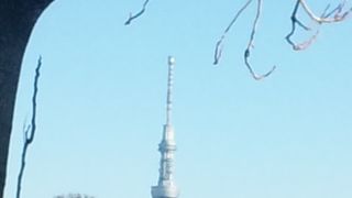 都会にあるのに長閑