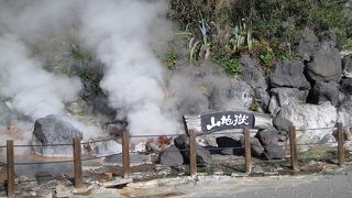 リャマやアフリカ象が飼われています。