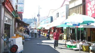 函館駅から一番近い観光スポット