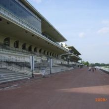 メインスタンド