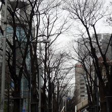 この通りにも宝くじを買う列がいっぱいになります