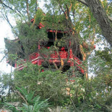 池の中の築山。