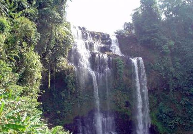 チャンパーサック、サラワン地方のボーラベン高原で滝とコーヒー園と少数民族を訪ねて、一日ツアー