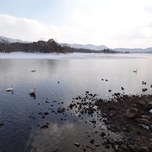 大沼と小沼つながる所は流れがあるので不凍結