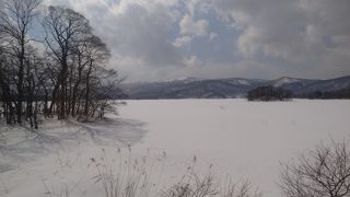 冬の大沼公園は白と青、光と影のコントラストが美しい