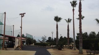 素敵なドライブコース