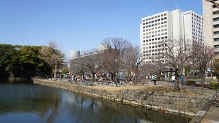 皇居を走るランナーが準備体操をしたり、お昼だと近所のサラリーマンが休んでいたり