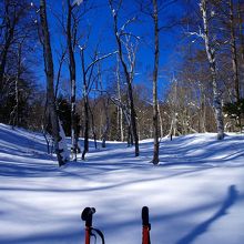 雪が多ければトレール関係なく自由に歩けます。