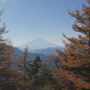 カラマツの間から富士山展望