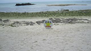 綺麗な星砂有り