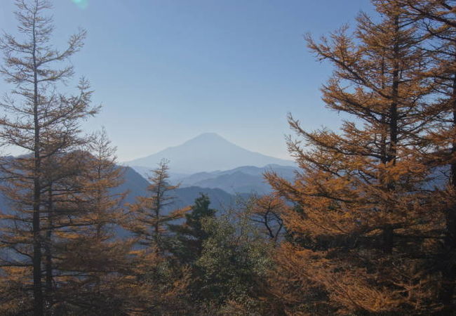 カラマツの間から富士山展望