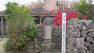 周囲の石垣はそこそこ綺麗にまとまっていました