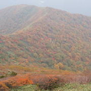 紅葉を見るために訪れたいと思わせてくれる山