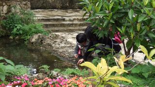 玉泉洞は良かった