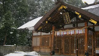 厄除けに行ってきました。