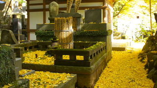 味わい深い庭園のあるお寺