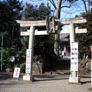 鳥居横のケヤキが市の天然記念物に指定されています