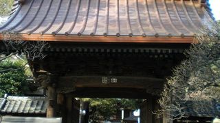 家康の江戸入府時から保護された寺院のようです