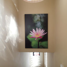 店内は、どこか「和テイスト」な部分も。