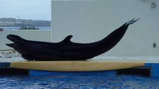 実は無料のスポット！