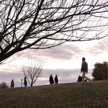 こころ休まる場所です