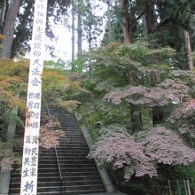 階段も多いです。