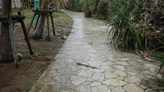 ドライブに良いと思います。