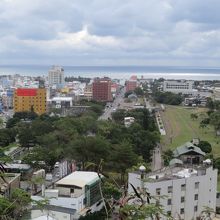 鯉魚山の上から観た台東市内です。遠くに海が見えます。