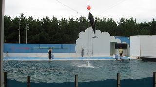 癒されスポット