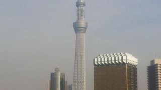 スカイツリーを見るならここ