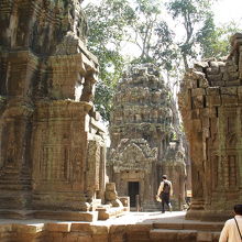 修復をインドが担当。インド人らしく、修復方法で検討中