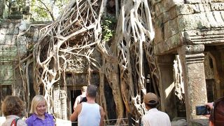 ツームレーダの遺跡