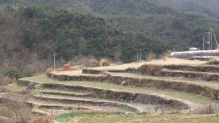 緑のあるときにもう１度