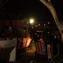 参拝終えて裏手から社殿を見る